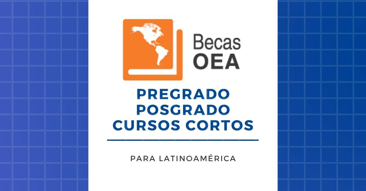 Becas de la OEA para Pregrado / Licenciatura, Posgrado y Cursos Cortos ...